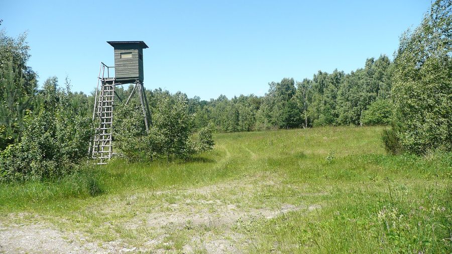 Lichtung mit Hochsitz am Waldrand